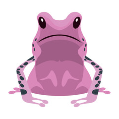 lilac exotic frog