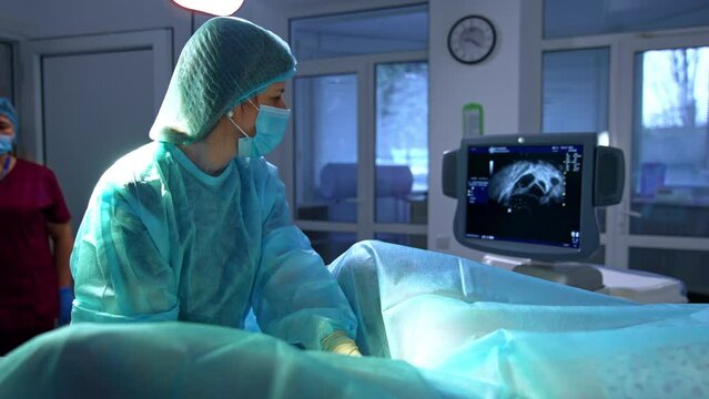 Obstetrician observing the process of in vitro fertilization. Ultrasound for a woman undergoing the extracorporeal insemination.