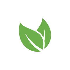 Natural Green Leaf Icon Vector Template
