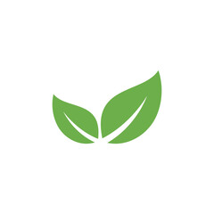 Natural Green Leaf Icon Vector Template