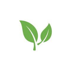 Natural Green Leaf Icon Vector Template
