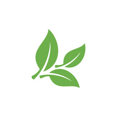Natural Green Leaf Icon Vector Template