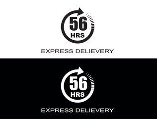 Express delivery in 56 hours. Fast delivery, express and urgent shipping