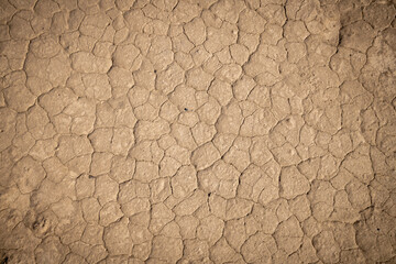 Dry desert ground cracked from the scorching sun.