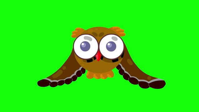 Cartoon flying owl animation isolated on greenbox. Seamless loop night bird good for any use.