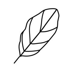 outline leaf icon