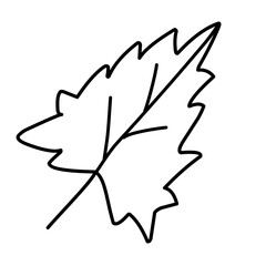 outline leaf icon