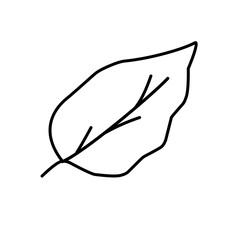 outline leaf icon