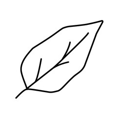 outline leaf icon