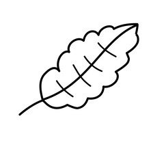 outline leaf icon
