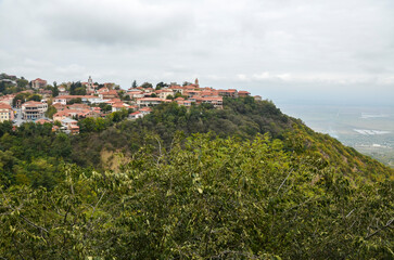 View of the residential buildings with brown tiled roofs on the hill covered colorful autumn trees at the city of Sighnaghi, Georgia