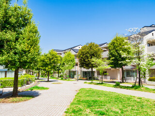 郊外の住宅地　新緑の生活道路