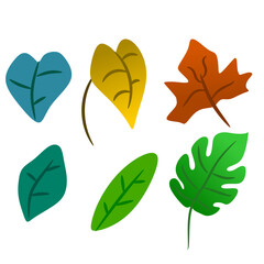 clip art, green leaf, flower, plant, monstera leaf, maple leaf