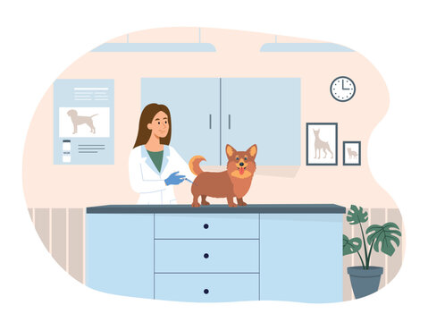 Vaccination of animals. Woman with syringe and dog, veterinary clinic. Doctor and specialist with pet makes injection. Health care and prevention in hospital. Cartoon flat vector illustration