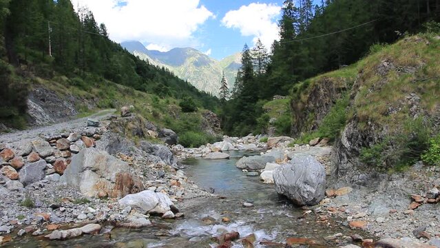 Landscape video of the stream flowing between rocks, woods and mountains in summer. Flowing water along the river. Alagna Valsesia. Italian Alps. Piedmont, Italy. Alps Italy