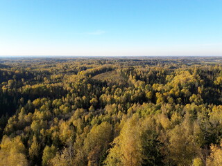 autumn in the mountains