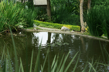 Beautiful view of park with green plants and canal