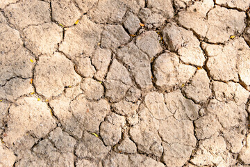 Wall texture soil dry crack pattern of drought lack of water of nature brown old broken background.