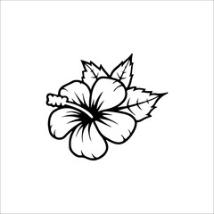 vector illustration of a white flower