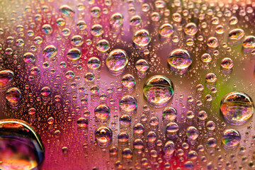 Water drops. Abstract background. Colored macro texture many drops. Iridescent wet gradient. Heavily textured image. Shallow depth of field. Selective focus