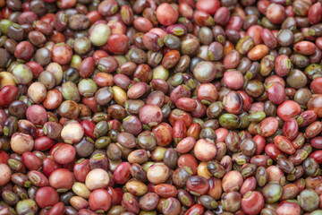 Pigeon peas background spread out fresh out of the pods