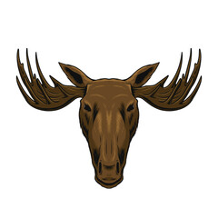 moose head illustration