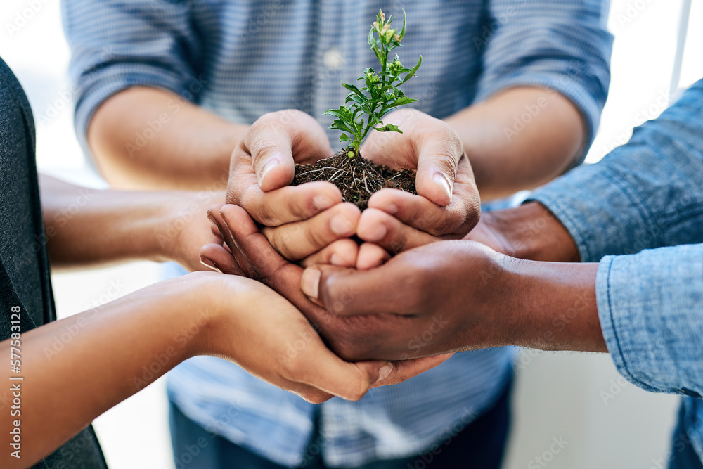 Poster we can either go through it or grow through it. cropped shot of a team of colleagues holding a plant