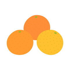 金柑。フラットなベクターイラスト。 Kumquat. Flat designed vector illustration.