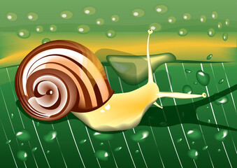 vector illustration of a snail on a green leave with water drops.