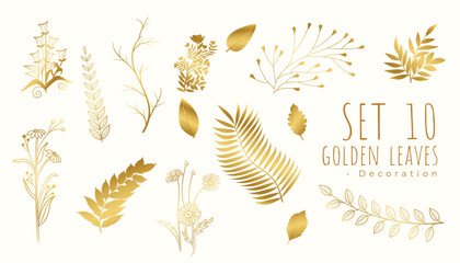 beautiful tropical golden leaves background in set