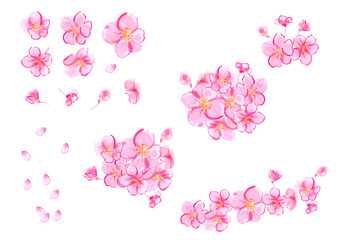 桜の花の組み合わせできる手描き和風ベクターイラスト