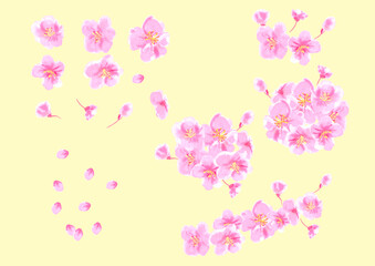 桜の花の組み合わせできる手描き和風ベクターイラスト
