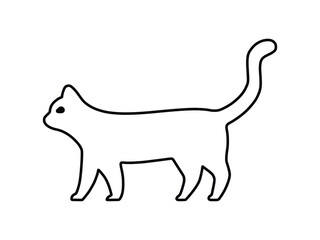 cat walking around looking at the scenery