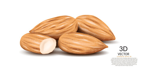 vector illustration almonds design template isolated on the white background.realistic vector design element.