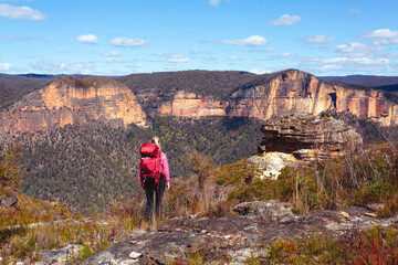 Female taking in magnificent vistas of sheer sandstone cliffs across the valley - 577606776