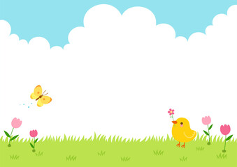 A baby chick and a yellow butterfly in a field of tulip flowers.Spring nature background. - obrazy, fototapety, plakaty