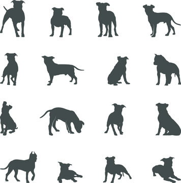 American Staffordshire terrier silhouettes, Staffordshire terrier silhouette