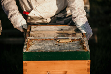 Beekeeper harvests honey. A hive is full of bees. Beekeeper inspects the hive.