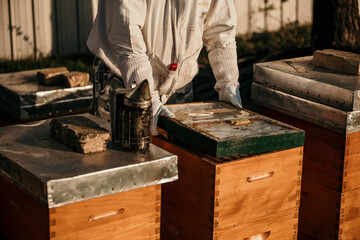Beekeeper harvests honey. A hive is full of bees. Beekeeper inspects the hive.