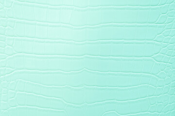 Crocodile bone skin texture background. Green Leather background and texture.