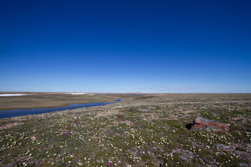 Arctic landscape in summer time. A river with broken ice flowing along a barren tundra. Near Cambridge Bay, Nunavut, Canada