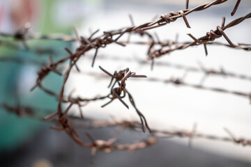Barbelé - Wire