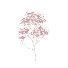 Obraz na płótnie Canvas Watercolor wildflowers, delicate botanical illustration