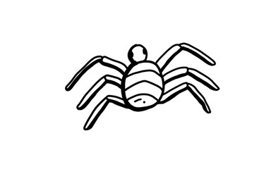 SPIDER Doodle art illustration with black and white style.
