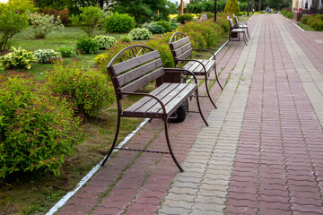 Benches for rest and a paved alley in the park. Flower beds with bushes and perennials. Landscaping.