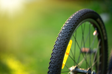 Fototapeta premium A bicycle wheel with a rubber tire in the rays of the sun.Bicycle repair. Sale of components for wheels.