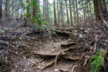 Mount Jimba trail in Tokyo, Japan