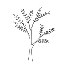 Hand drawn illustration spring tree.