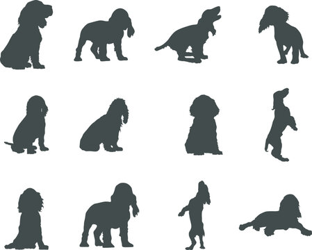 Cocker Spaniel dog silhouettes, Cocker spaniel silhouette, Cocker spaniel animal svg, Cocker spaniel vector.
