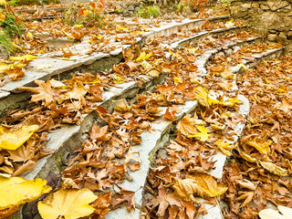 autumn path with dry yellow leaves of platanus trees in pili city greece